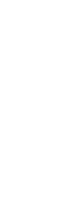 A bulb